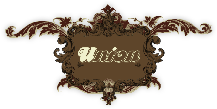 Union Pro Silesia - logo